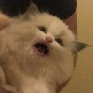 reizwei