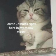yYatu