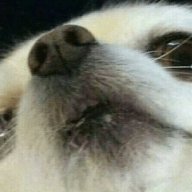 PleaseIJustWantToReadManga