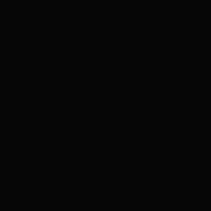 Thoxi1026