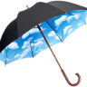 bluedaisyrain