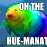 supermanatee
