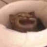 quishalalalala