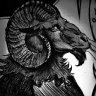 LadyRam