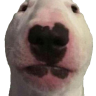 Quapin