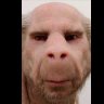 n0rthernlying