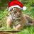 Uday321
