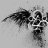 KidCoheed