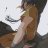 Anonymous_404