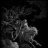 In_The_Nightside_Eclipse