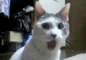 xF4nBi5.gif