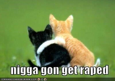 nigga-gon-get-raped
