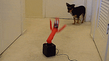 mini-inflatable-tube-man-2578.gif