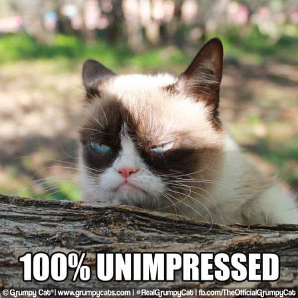 annoyed-unimpressed-meme.jpg