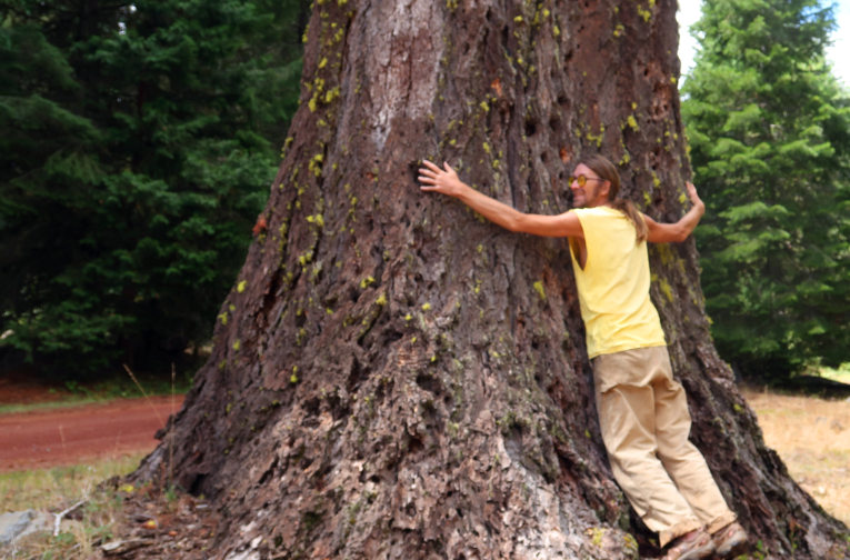 tree-hugging.jpg