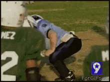 tenor.gif