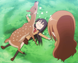 242095ab378b7ee35d0e0d717803a83b011fd2fc_00.gif