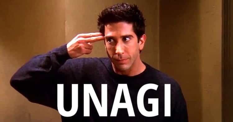 unagi.jpg