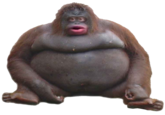 JdJxAvA.png