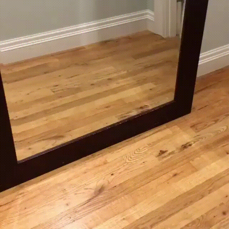 mirror.gif