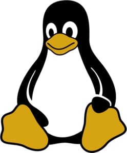 vDDbslTDGt8itE6C6f8K3X8FPFQenq5iOl1ZfW8z.jpeg
