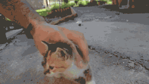 ntgwSbe.gif